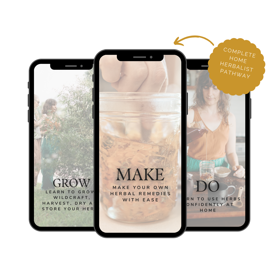 Picture of mock-up showing cover from Workbook and sample page of this awesome content.